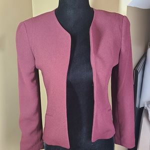 Aritzia Blazer